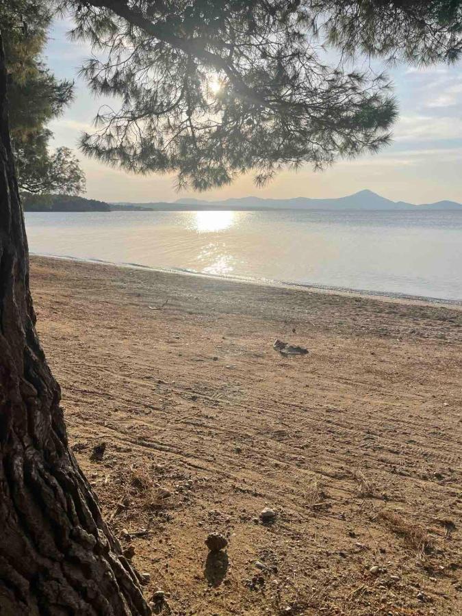 Μοντέρνα Εξοχική Μονοκατοικία Με Ιδιωτική Πισίνα! Khalkoutsion Esterno foto
